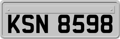 KSN8598