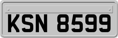 KSN8599