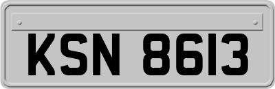 KSN8613