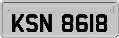 KSN8618