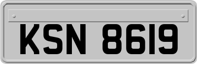 KSN8619