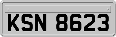 KSN8623