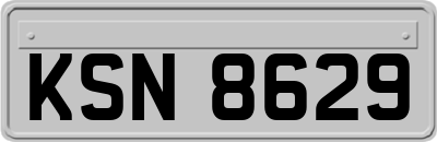KSN8629