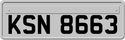 KSN8663