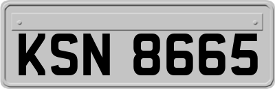 KSN8665