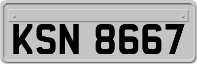 KSN8667