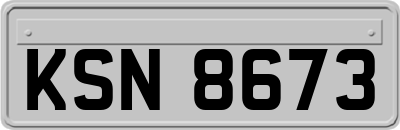 KSN8673