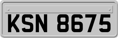 KSN8675
