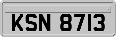 KSN8713