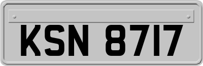 KSN8717