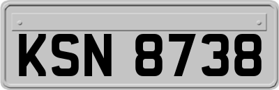 KSN8738