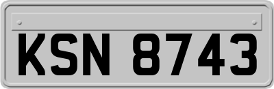KSN8743