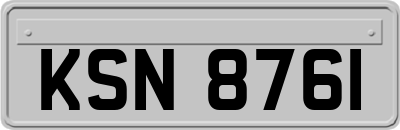 KSN8761