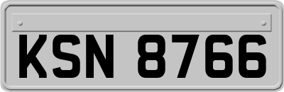 KSN8766