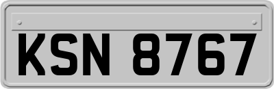 KSN8767