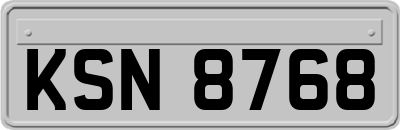 KSN8768