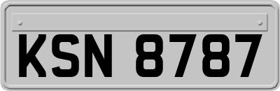 KSN8787