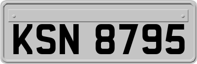 KSN8795