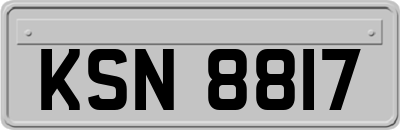 KSN8817