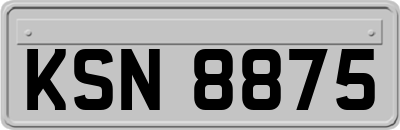 KSN8875