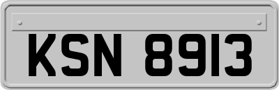 KSN8913