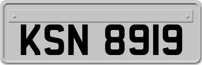 KSN8919