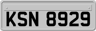 KSN8929