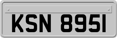 KSN8951