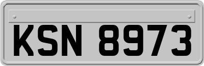 KSN8973