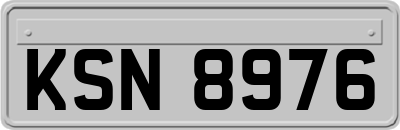 KSN8976