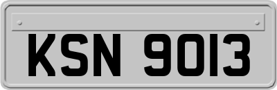 KSN9013