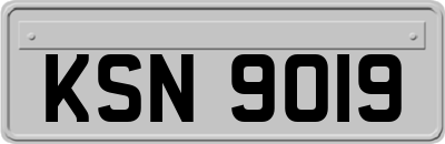 KSN9019