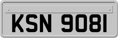KSN9081