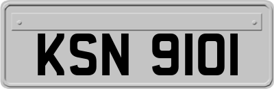 KSN9101