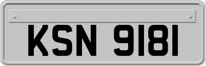 KSN9181