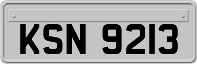 KSN9213