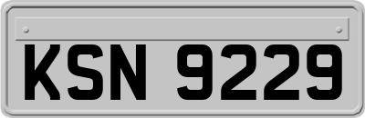 KSN9229