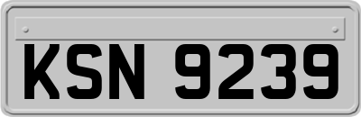 KSN9239