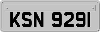 KSN9291
