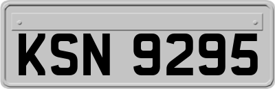KSN9295