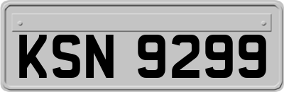 KSN9299