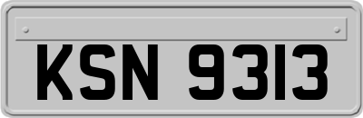 KSN9313