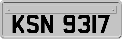 KSN9317