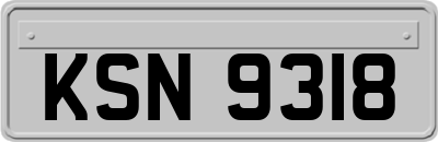 KSN9318