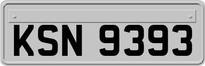 KSN9393