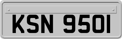 KSN9501