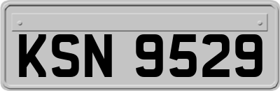 KSN9529