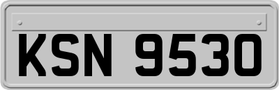 KSN9530