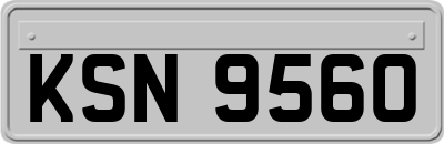KSN9560