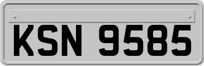 KSN9585